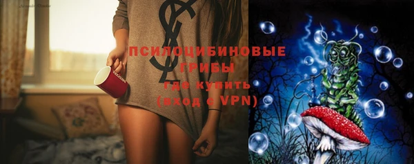шишки Балабаново
