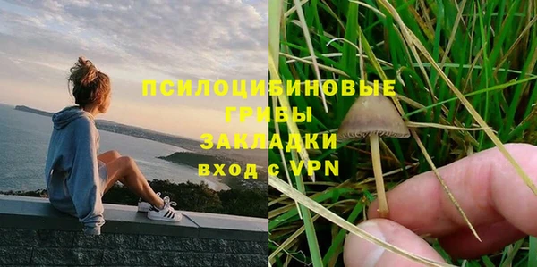 шишки Балабаново