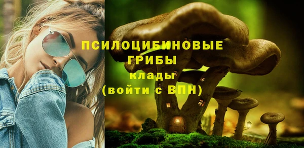 шишки Балабаново