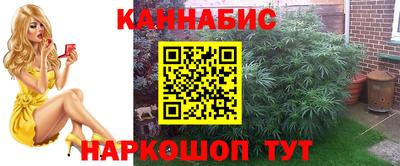 мет Боровичи