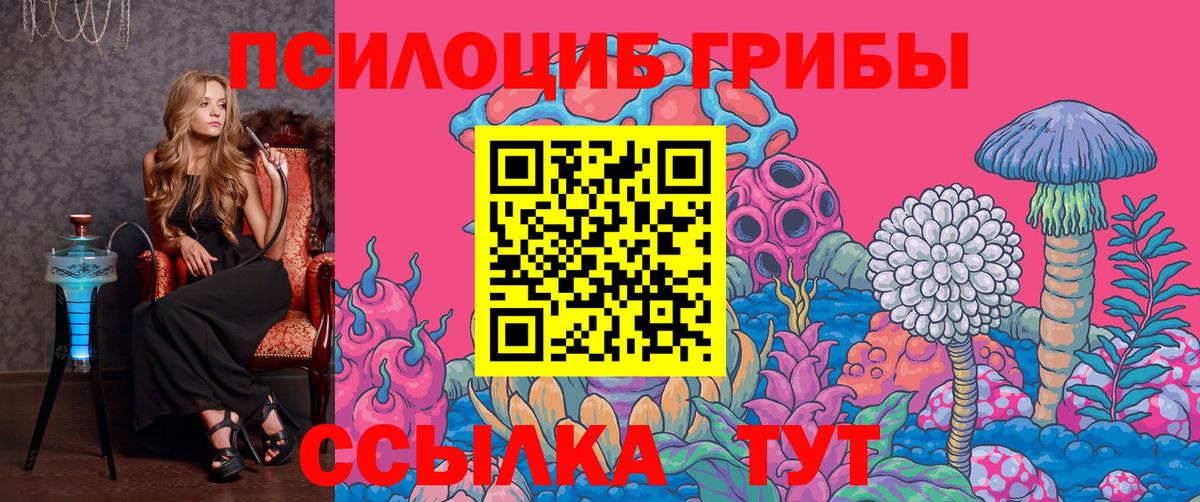 Галлюциногенные грибы Cubensis  Вход с VPN  Белорецк 